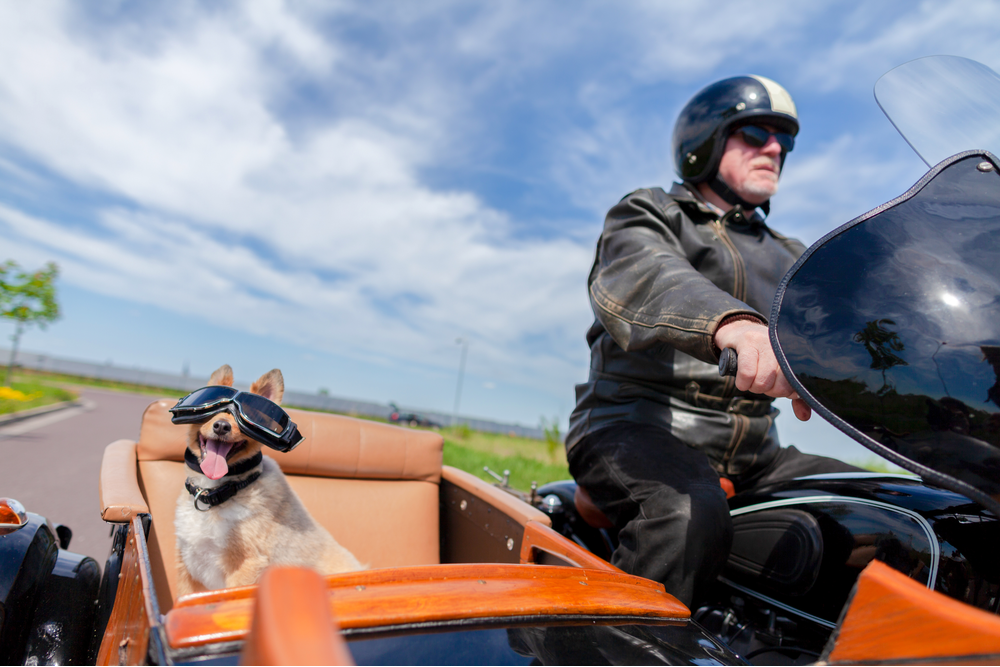 Man on motorcycle with dog in sidecar Shutterstock Image 1084641965 purchased by AKF Partners June 5 2019