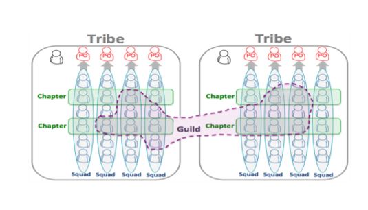 Graphic showing how team guilds are built with experts on each team